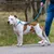 Ferplast Semi-Choke-Halsband aus Nylon für Hunde SPORT EXTREME Ferplast Semi-Choke-Halsband aus Nylon für Hunde SPORT EXTREME