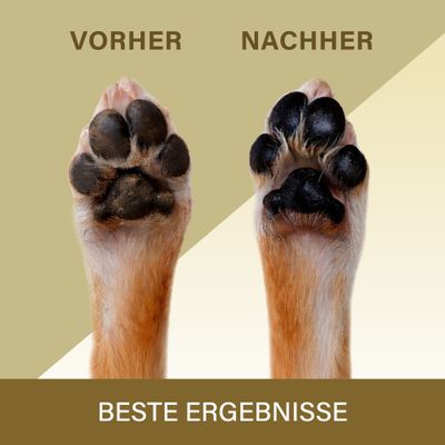Veddelholzer 100 ml Pfotenbalsam für Hunde