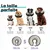 STUCH minerve gonflable , protection souple contre les fuites