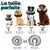 STUCH minerve gonflable , protection souple contre les fuites