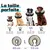 STUCH minerve gonflable , protection souple contre les fuites STUCH minerve gonflable , protection souple contre les fuites
