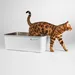 Lucky-Kitty Katzentoilette XXL