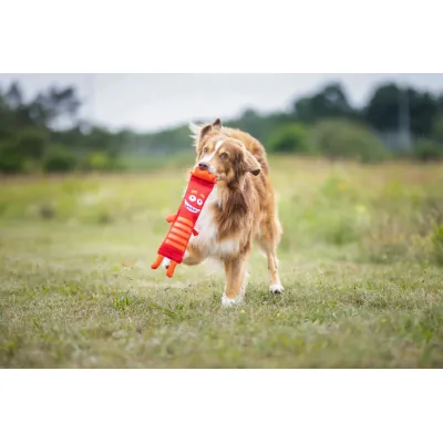 WOLTERS Funny Dummy Hundezubehör WOLTERS Funny Dummy Hundezubehör