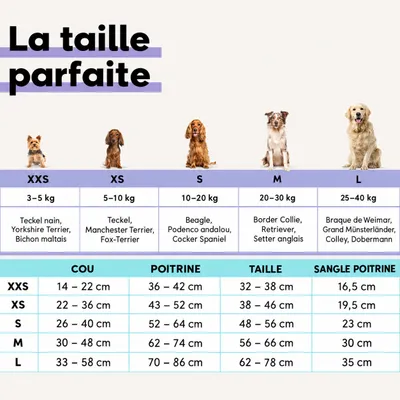STUCH - Harnais pour chien - Harnais en nylon ajustable - Rembourré