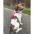 STUCH - Harnais pour chien - Harnais en nylon ajustable - Rembourré STUCH - Harnais pour chien - Harnais en nylon ajustable - Rembourré