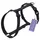 Noir,S