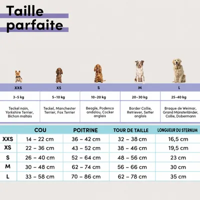 STUCH - Harnais pour chien - Harnais en nylon ajustable - Rembourré STUCH - Harnais pour chien - Harnais en nylon ajustable - Rembourré