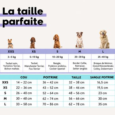 STUCH - Harnais pour chien - Harnais en nylon ajustable - Rembourré