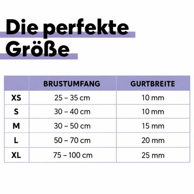 STUCH - Hundegeschirr Vegan PureControl - verstellbar