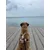 STUCH - Harnais pour chien - Harnais en nylon ajustable - Rembourré STUCH - Harnais pour chien - Harnais en nylon ajustable - Rembourré
