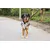 STUCH - Harnais pour chien - Harnais en nylon ajustable - Rembourré STUCH - Harnais pour chien - Harnais en nylon ajustable - Rembourré
