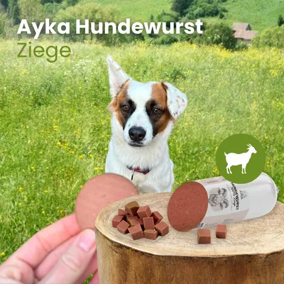Kauartikel.com Ayka Hundewurst Ziege