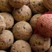 KLASEBO Boules de graisse Premium aux insectes en filet