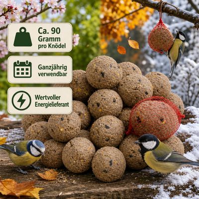 KLASEBO Premium Meisenknödel mit Insekten und Netz