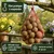 KLASEBO Boules de graisse Premium aux insectes en filet KLASEBO Boules de graisse Premium aux insectes en filet