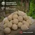 KLASEBO Meisenknödel mit Netz für Wildvögel KLASEBO Meisenknödel mit Netz für Wildvögel
