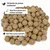 KLASEBO Boules de graisse en filet pour oiseaux sauvages KLASEBO Boules de graisse en filet pour oiseaux sauvages