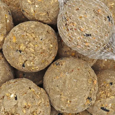 KLASEBO Boules de graisse en filet pour oiseaux sauvages
