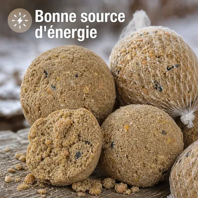 KLASEBO Boules de graisse en filet pour oiseaux sauvages KLASEBO Boules de graisse en filet pour oiseaux sauvages