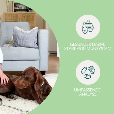 Mineralstoff Test Plus Hund