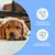 Mineralstoff Test Plus Hund Mineralstoff Test Plus Hund