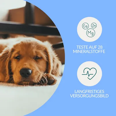 Mineralstoff Test Plus Hund Mineralstoff Test Plus Hund