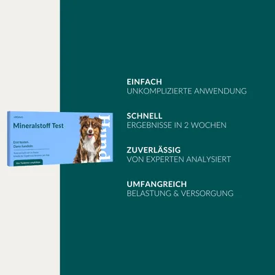 Mineralstoff Test Plus Hund Mineralstoff Test Plus Hund