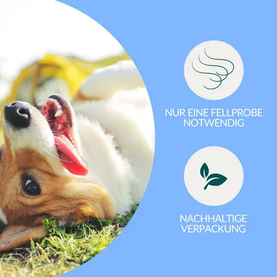 Mineralstoff Test Plus Hund Mineralstoff Test Plus Hund