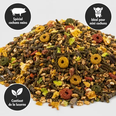 KLASEBO Hobby Mix aliment pour cochons vietnamiens et mini-cochons KLASEBO Hobby Mix aliment pour cochons vietnamiens et mini-cochons