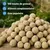 KLASEBO Boules de graisse sans filet pour oiseaux sauvages KLASEBO Boules de graisse sans filet pour oiseaux sauvages