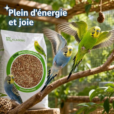KLASEBO Graines pour perruches à l’avoine nue et au millet