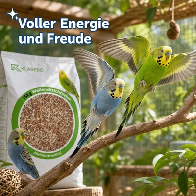 KLASEBO Wellensittichfutter mit Nackthafer und Hirse KLASEBO Wellensittichfutter mit Nackthafer und Hirse