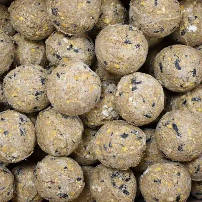 KLASEBO Boules de graisse Premium aux insectes sans filet, grand format