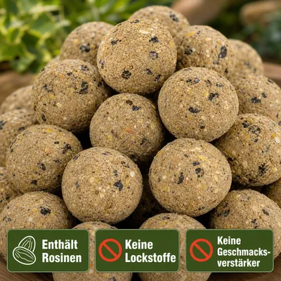 KLASEBO Premium Meisenknödel mit Insekten ohne Netz, Großpackung KLASEBO Premium Meisenknödel mit Insekten ohne Netz, Großpackung