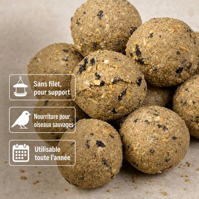 KLASEBO Boules de graisse Premium aux insectes sans filet, grand format