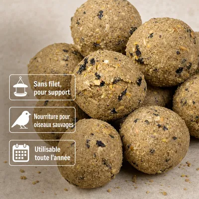 KLASEBO Boules de graisse Premium aux insectes sans filet, grand format KLASEBO Boules de graisse Premium aux insectes sans filet, grand format