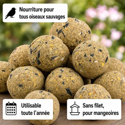 KLASEBO Boules de graisse Premium aux insectes sans filet