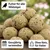 KLASEBO Premium Meisenknödel mit Insekten ohne Netz KLASEBO Premium Meisenknödel mit Insekten ohne Netz