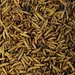 KLASEBO Larves de mouche soldat entières séchées