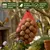 KLASEBO Boules de graisse Premium aux insectes en filet pour le jardin KLASEBO Boules de graisse Premium aux insectes en filet pour le jardin