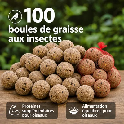 KLASEBO Boules de graisse Premium aux insectes en filet pour le jardin KLASEBO Boules de graisse Premium aux insectes en filet pour le jardin
