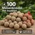 KLASEBO Premium Meisenknödel mit Insekten im Netz für Gartenvögel KLASEBO Premium Meisenknödel mit Insekten im Netz für Gartenvögel