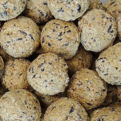 KLASEBO Boules de graisse sans filet pour oiseaux sauvages, grand format