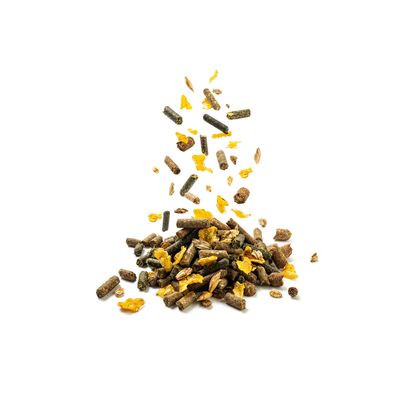 KLASEBO Aliment en flocons pour juments et poulains