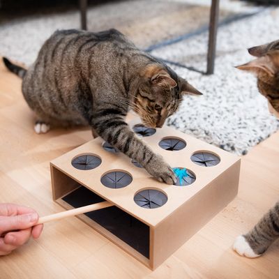 Canadian Cat Company Katzenspielzeug Fang die Maus