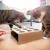 Canadian Cat Company Katzenspielzeug Fang die Maus Canadian Cat Company Katzenspielzeug Fang die Maus