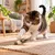 Canadian Cat Company Katzenspielzeug aus Catnip-Kugel mit Federn Canadian Cat Company Katzenspielzeug aus Catnip-Kugel mit Federn