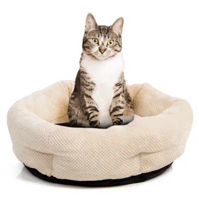 Wallace & Jones Katzenbett CLOEY