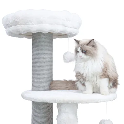 Canadian Cat Company Kratzbaum CHARLES Canadian Cat Company Kratzbaum CHARLES