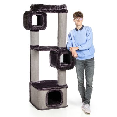 Canadian Cat Company Kratzbaum OTTAWA